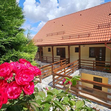 Matei Residence Brassó Kültér fotó