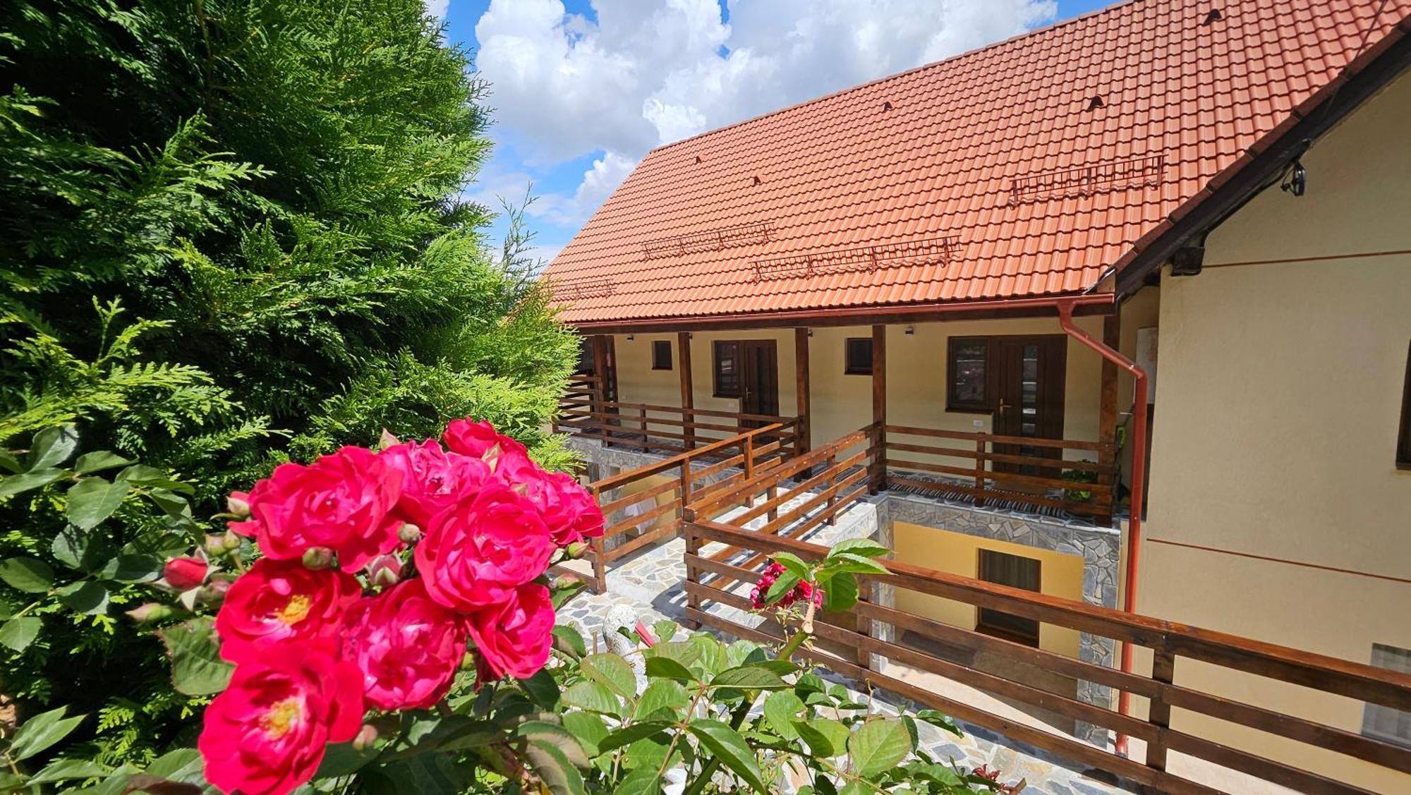 Matei Residence Brassó Kültér fotó