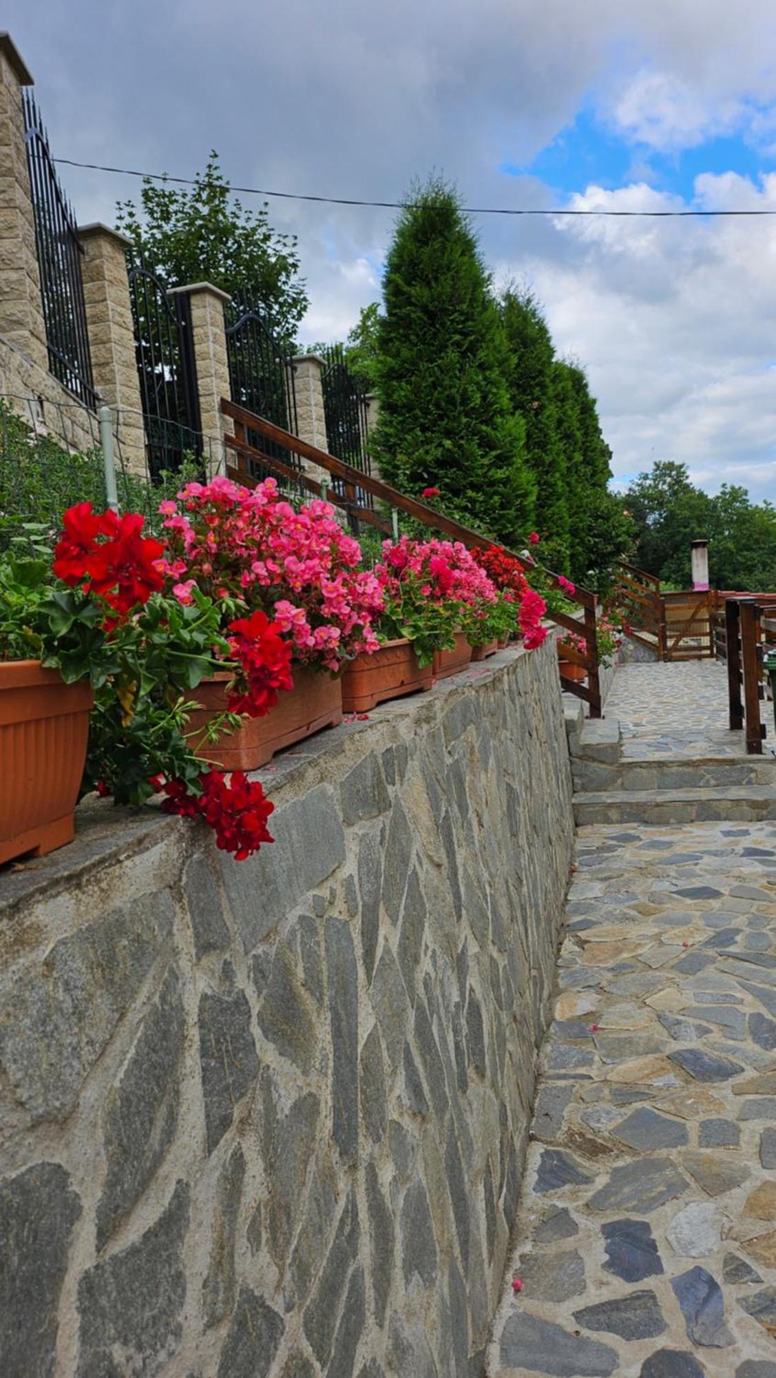 Matei Residence Brassó Kültér fotó