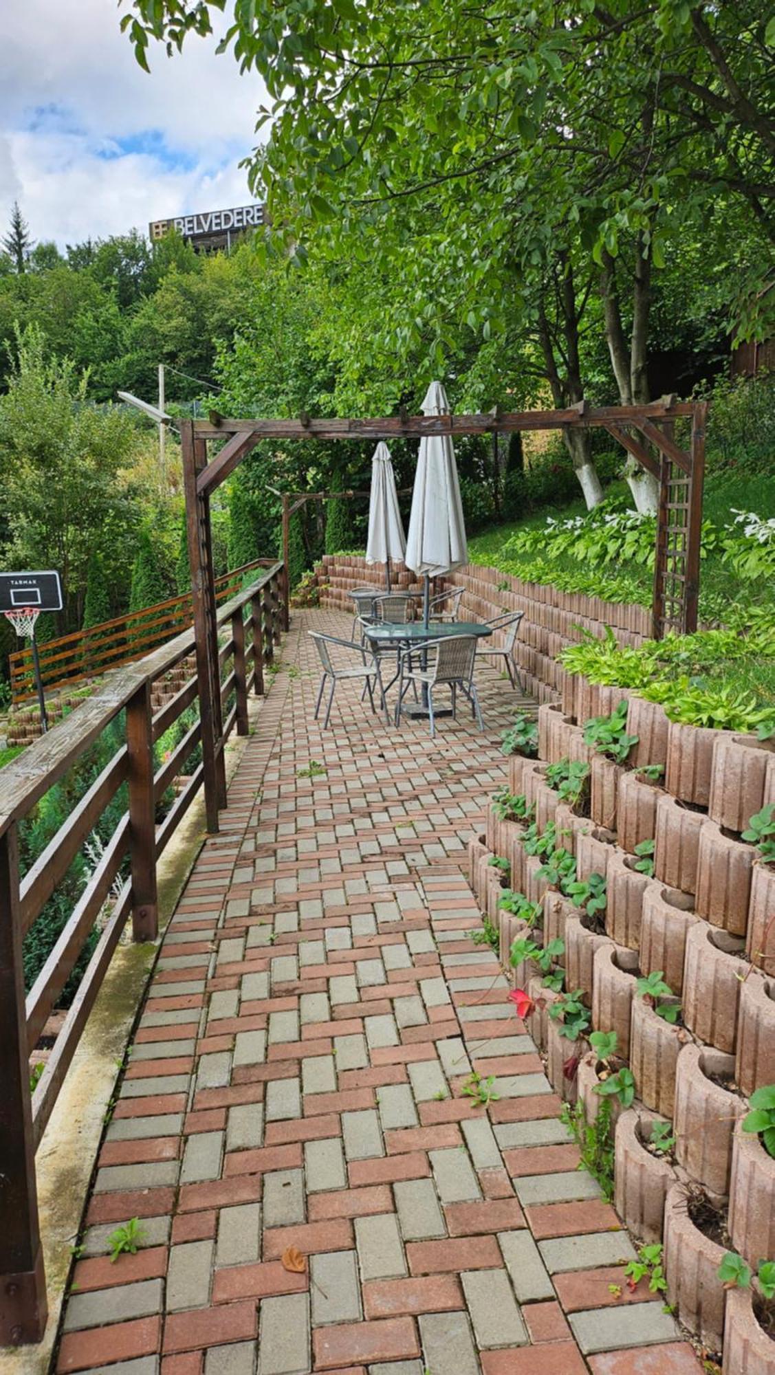 Matei Residence Brassó Kültér fotó